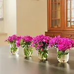 4Bnb - Ripetta Central Apartment